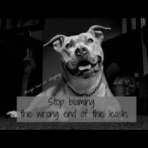 Meet your Posher, Cheri